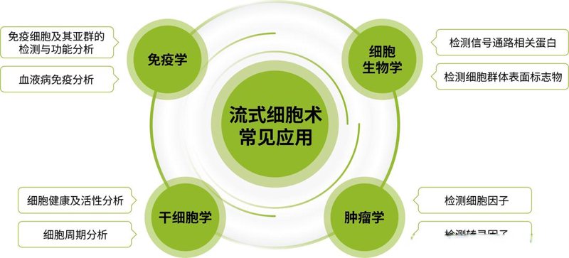 优生优育：构建美好生命的基石