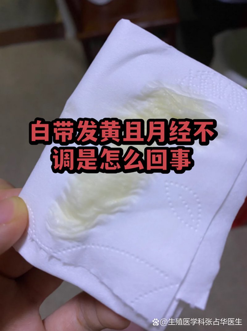 生命科技：重塑未来医疗的可能性