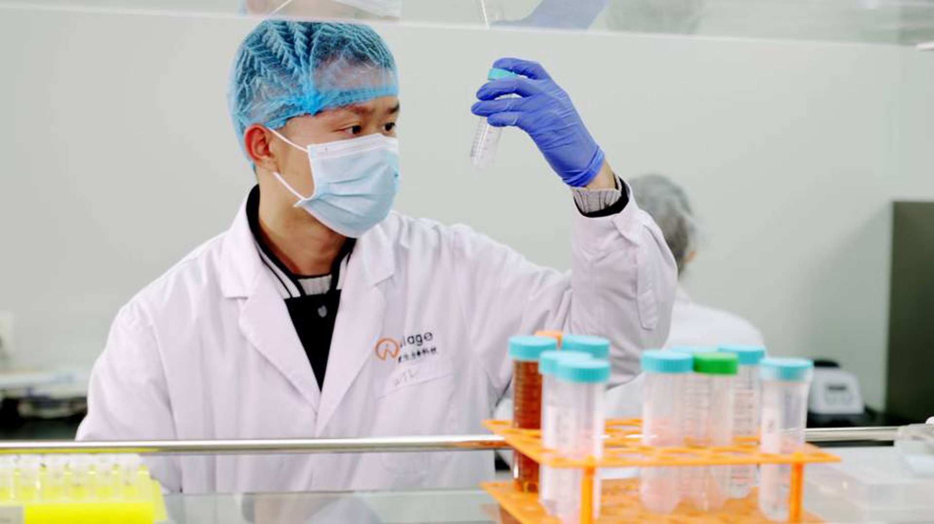 爱生龙凤生命科技
